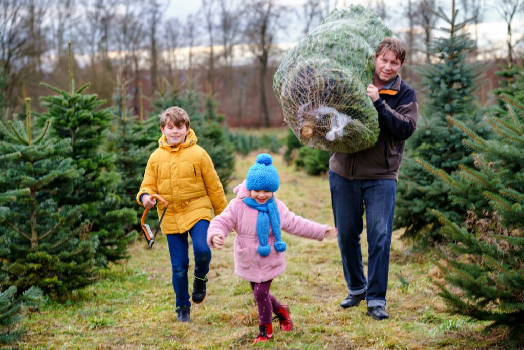 North Carolina Christmas tree farms hit by hurricane